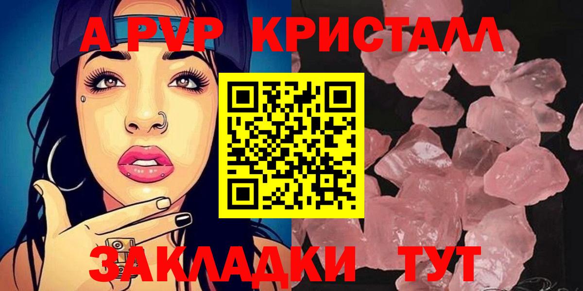 Альфа ПВП СК КРИС Кировск
