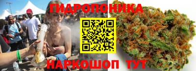 гашик Берёзовский