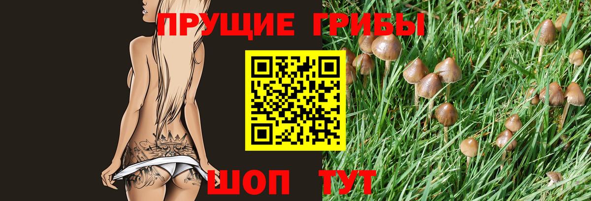 Галлюциногенные грибы Magic Shrooms Кировск